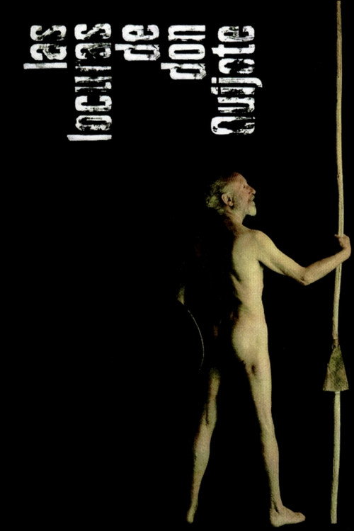 Las locuras de don Quijote постер