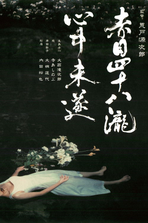 赤目四十八瀧心中未遂 постер