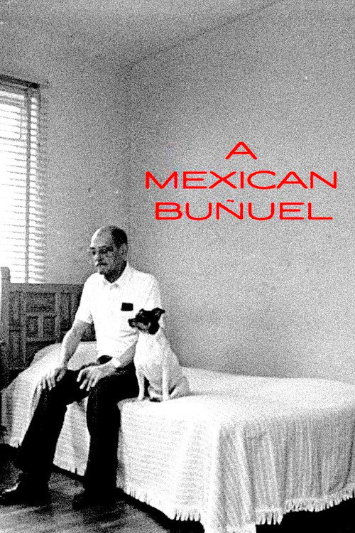 Un Buñuel mexican постер
