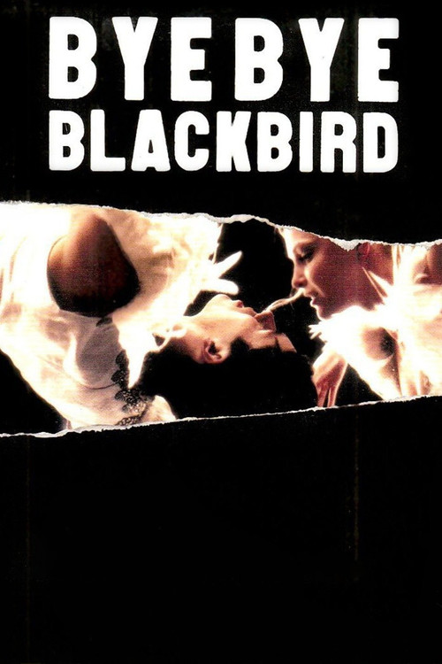 Bye Bye Blackbird постер