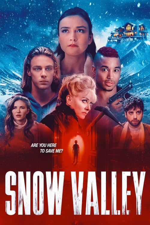 Snow Valley постер
