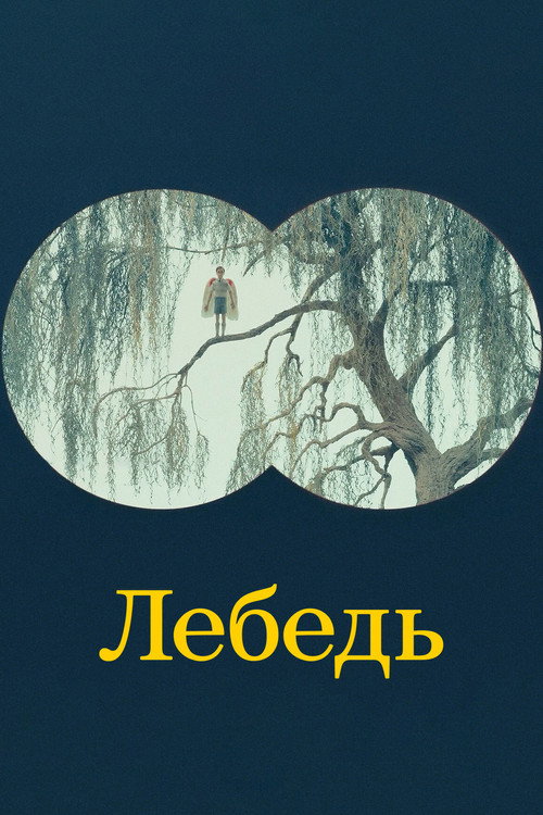 Лебедь постер