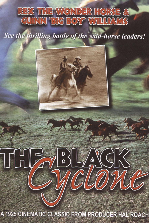 The Black Cyclone постер