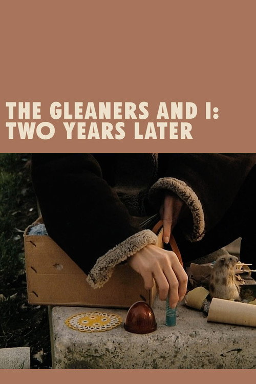 The Gleaners and I: Two Years Later постер