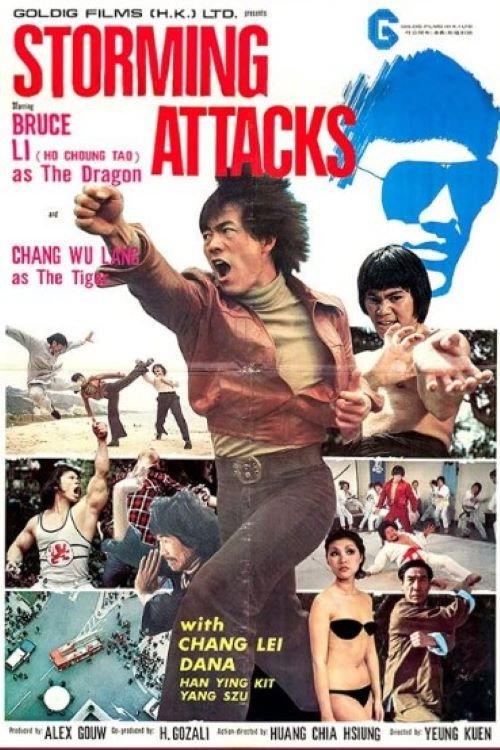 猛男大賊胭脂虎 постер