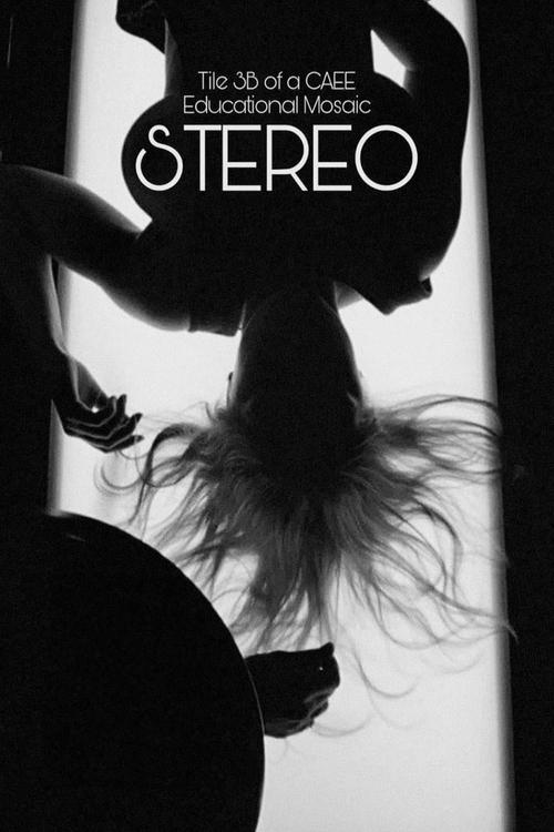 Stereo (Tile 3B of a CAEE Educational Mosaic) постер