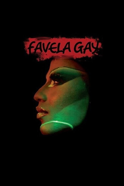 Favela Gay постер