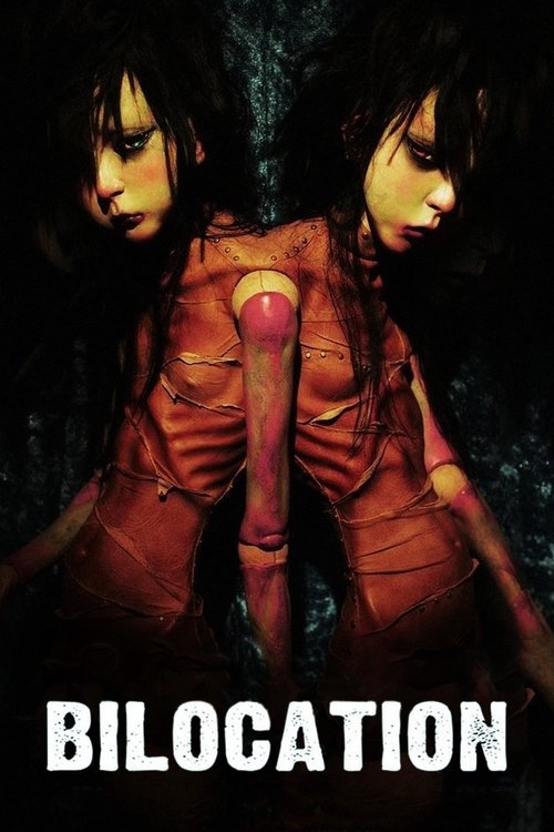 Билокация постер