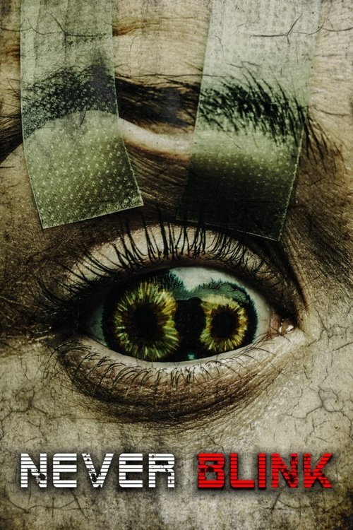 Never Blink постер