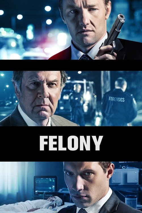 Felony постер