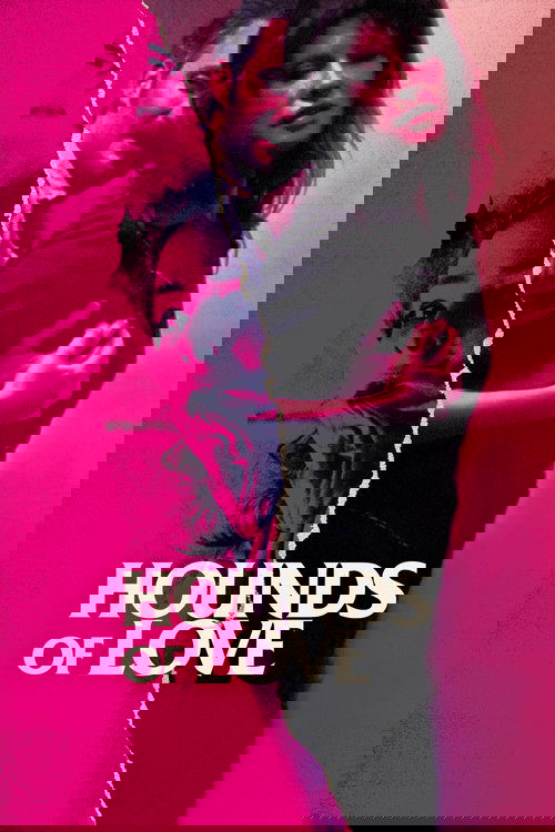 Гончие любви постер