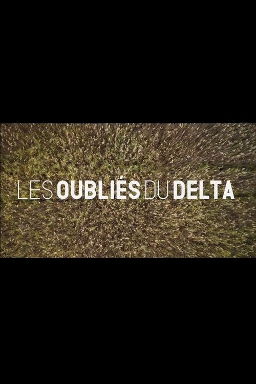 Les oubliés du Delta постер