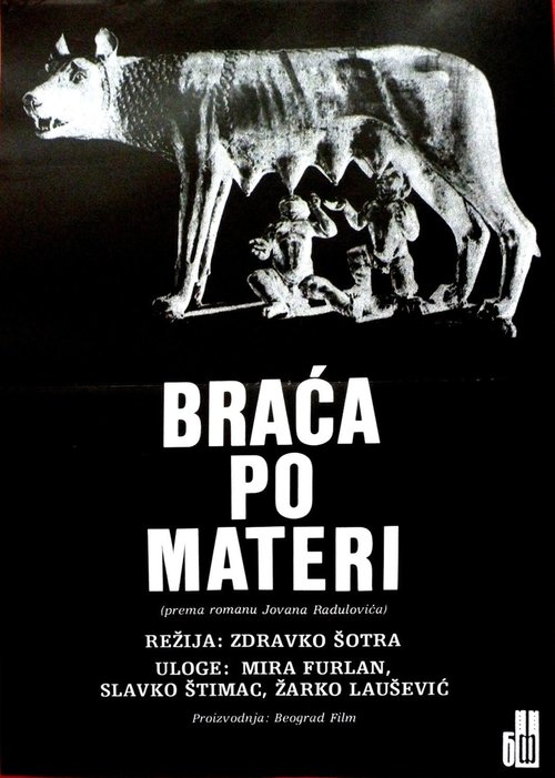 Braca po materi постер