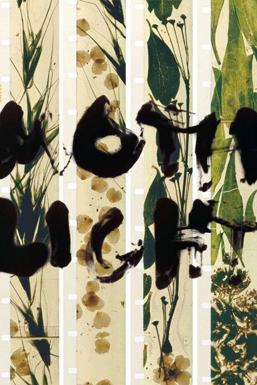 Mothlight постер