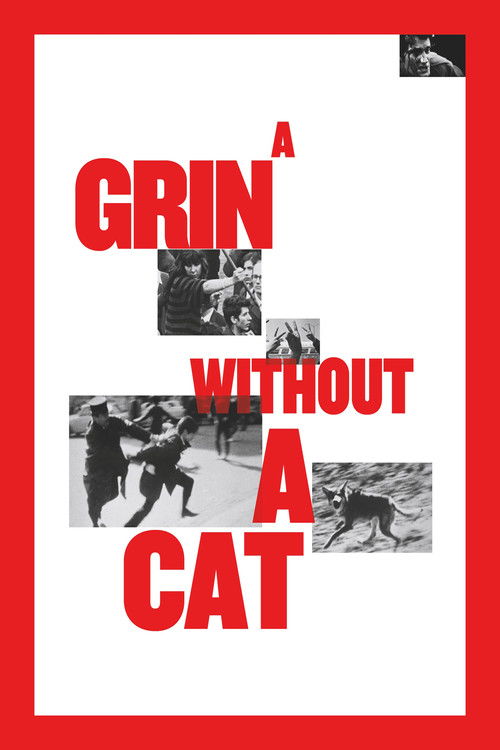 A Grin Without a Cat постер