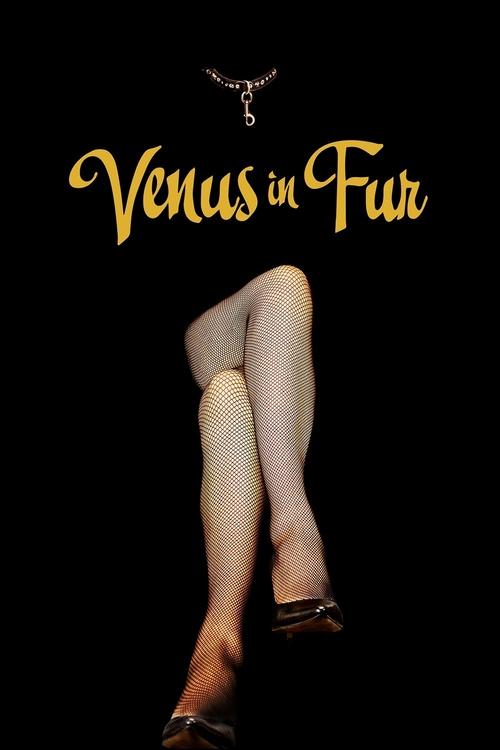 Venus in Fur постер