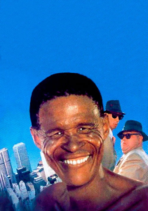 Crazy Safari постер