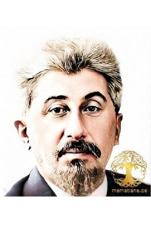 Василий (Васо) Арабидзе