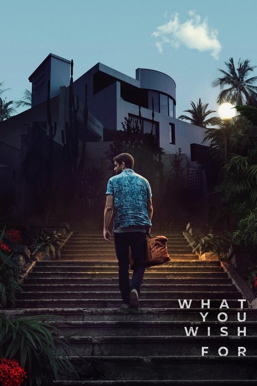What You Wish For постер