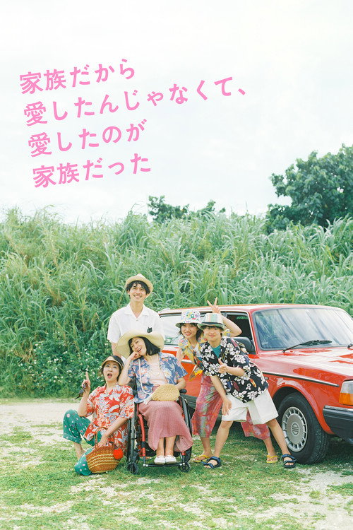 I Didn't Love You Because I Was a Family, But I Loved You as a Family постер