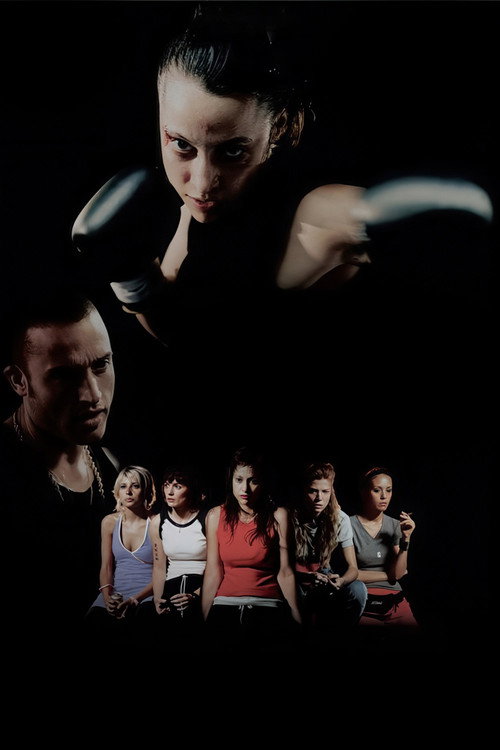 A golpes постер