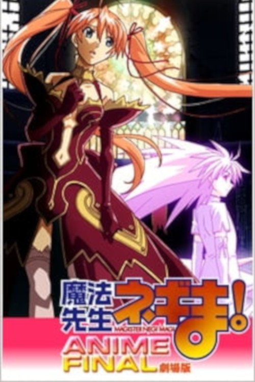 Magister Negi Magi: Anime Final постер