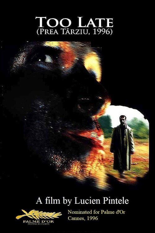 Prea târziu постер