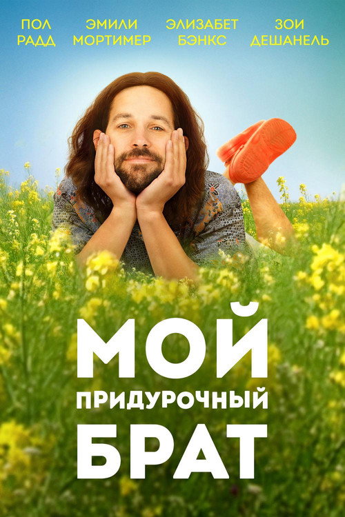 Мой придурочный брат постер