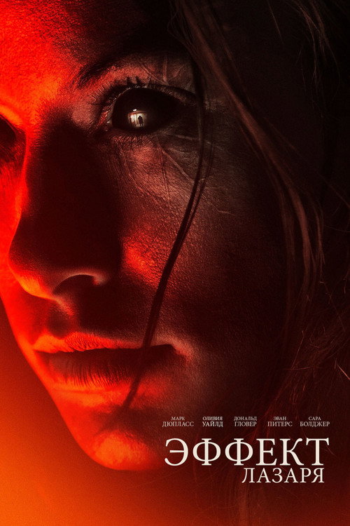 Эффект Лазаря постер