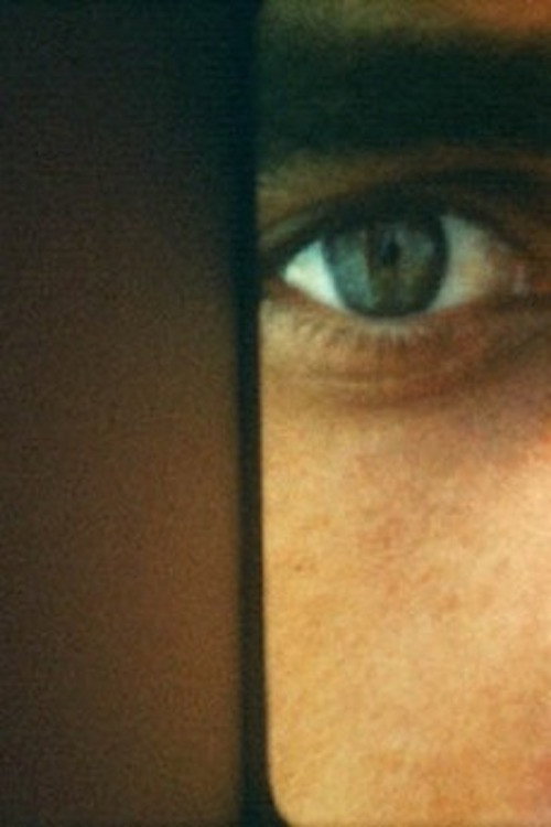 Still Light постер