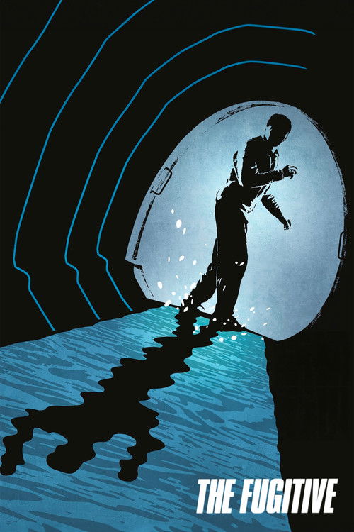 The Fugitive постер