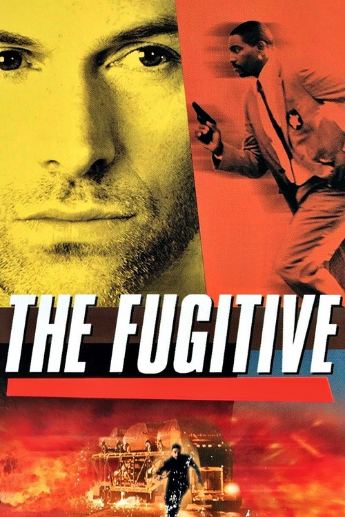 The Fugitive постер