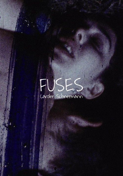 Fuses постер
