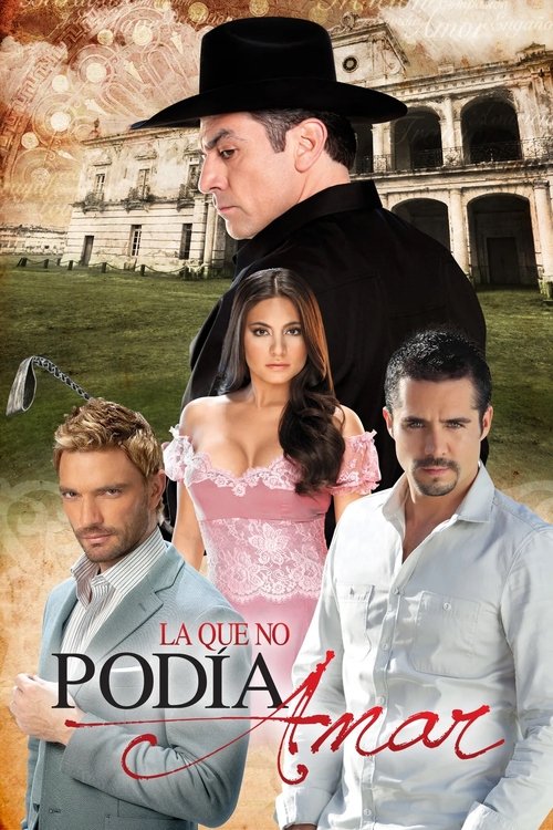 Та, что не может любить постер