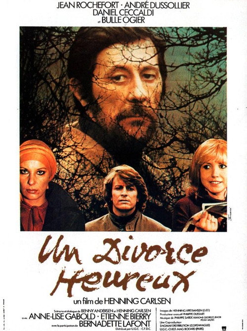 A Happy Divorce постер