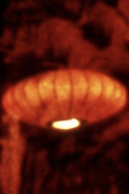 Song 18 постер