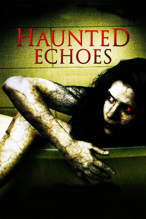 Haunted Echoes постер