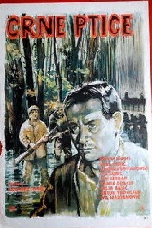 Black Birds постер