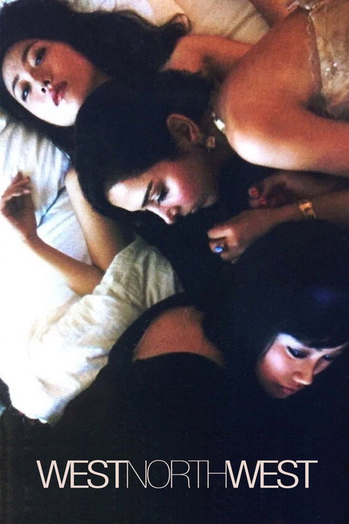 西北西 постер