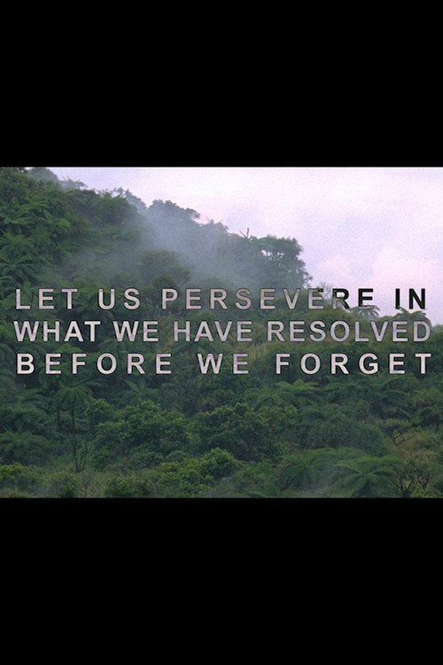 Let Us Persevere in What We Have Resolved Before We Forget постер