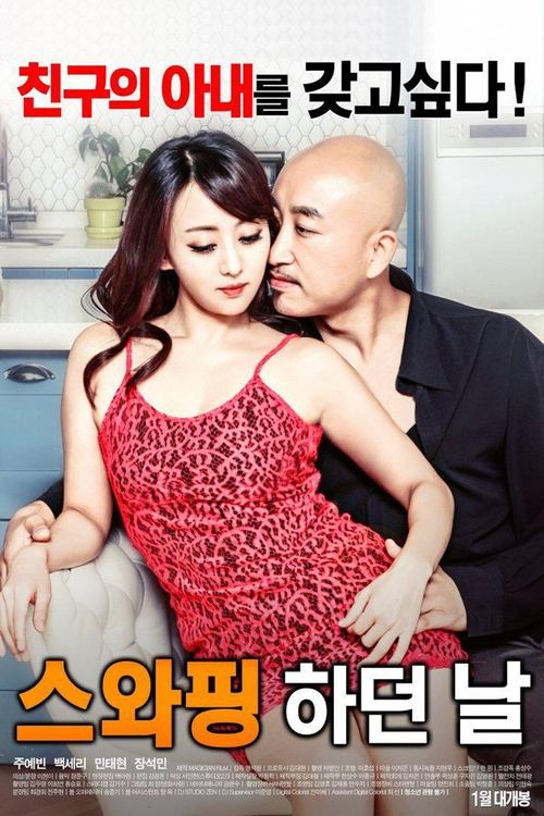 스와핑 하던 날 постер