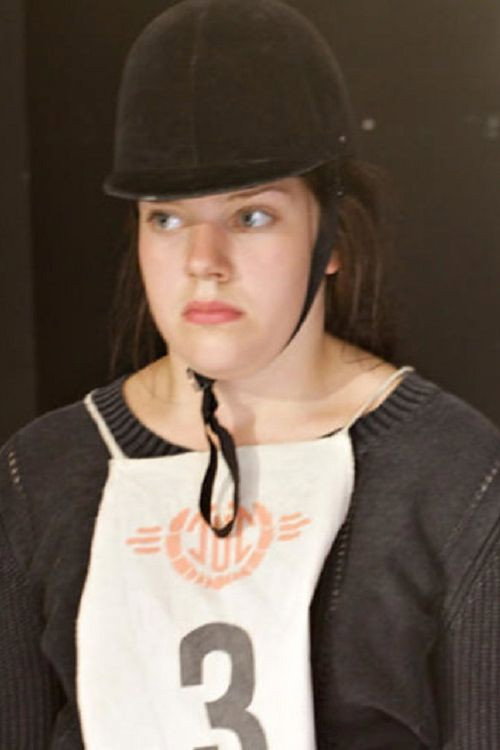 Hevoshullu постер