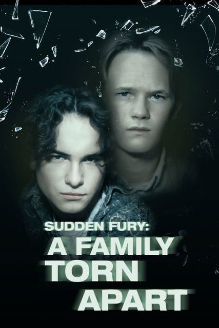 Sudden Fury постер