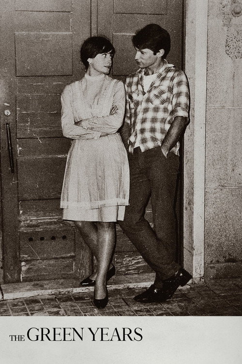 Os Verdes Anos постер