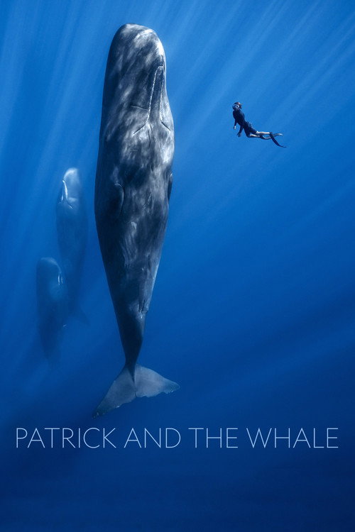 Patrick and the Whale постер