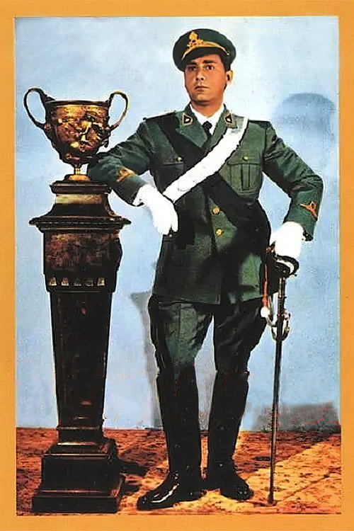 Все по домам постер