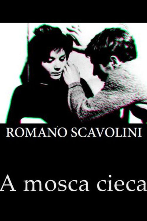 A mosca cieca постер