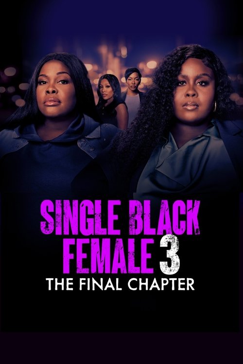 Single Black Female 3: The Final Chapter постер
