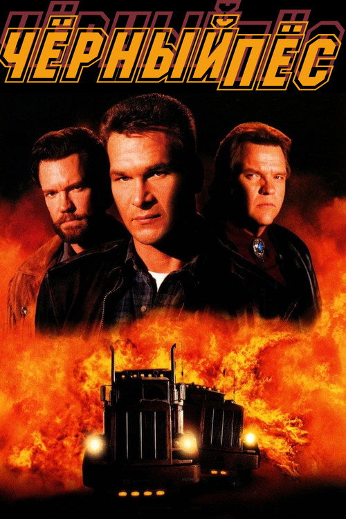 Чёрный пёс постер