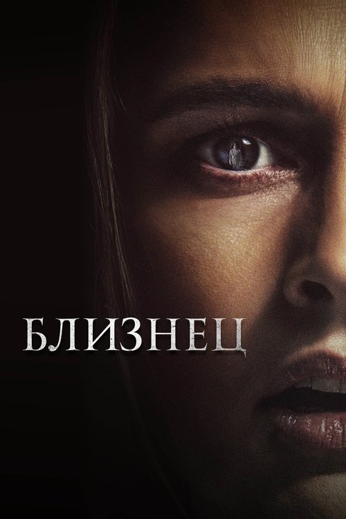 Близнец постер